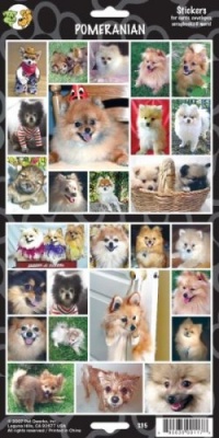 Pet Qwerks S35 Pomeranian Dog Sticker