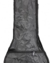 Stone Case Company STBag-5M Mandolin Gig Bag