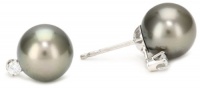 TARA Pearls Tahitian Stud 9X10mm 14 Karat White Gold Stud Earrings