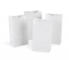 Pacon 72020 Rainbow bags, white uncoated kraft paper, 6 x 3-5/8 x 11, 100/pack