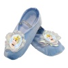 Cinderella Ballet Slippers