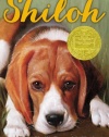 Shiloh