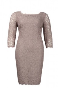 Adrianna Papell Stretch Lace Dress (Mauve)