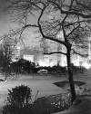 Winter Night NY Central Park Photo 14x20 Limited-Edition Artistic Planked Wood Sign