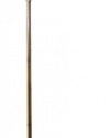 Daylight 24 402051-07 Natural Daylight Battery Operated Floor Lamp with Optional AC Adapter