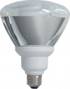 GE 21739 26-watt(90-watt equivalent) Energy Smart Outdoor Floodlight PAR38 Light Bulb