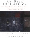 At Risk in America: The Health and Health Care Needs of Vulnerable Populations in the United States