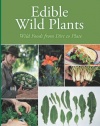 Edible Wild Plants: Wild Foods From Dirt To Plate (The Wild Food Adventure Series, Book 1)