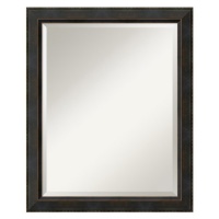 Hemingway Large Mirror in Dark Bronze