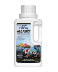 PondCare 169G Algae Fix, 32-Ounce