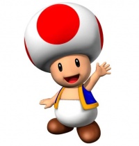 Super Mario Brothers Costume, Toad