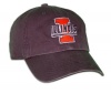 NCAA Illinois Franchise Fitted Hat