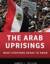 The Arab Uprisings: What Everyone Needs to Know