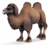 Two-humped Camel