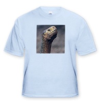 Ecuador, Galapagos Islands, Giant tortoise - SA07 MDE0199 - Michael DeFreitas - Toddler Light-Blue-T-Shirt (3T)