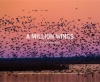 A Million Wings: A Spirited Story of the Sporting Life Along the Mississippi Flyway