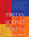 Tibetan Sound Healing: Seven Guided Practices to Clear Obstacles, Cultivate Positive Qualities, and Uncover Your Inherent Wisdom