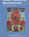 Heart Drops Of Dharmakaya: Dzogchen Practice Of The Bon Tradition