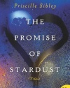 The Promise of Stardust: A Novel