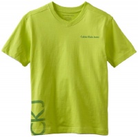 Calvin Klein Boys 8-20 V-Neck Tee, Washed Limey, X-Large