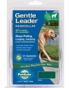 Gentle Leader Quick Release Head Collar, Large, Green