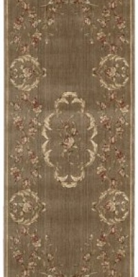 Nourison Zanibar Aubusson Brown  2.3-Feet by 8-Feet Polyacrylic Runner Rug