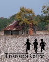 Mississippi Cotton (A Southern Novel)