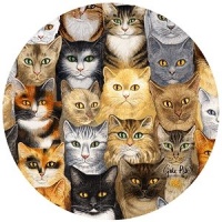 Thirstystone Cats Cats Cats Sandstone Coaster Set Of 4