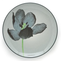 Noritake Colorwave Graphite Accent Plate, 8-Inch