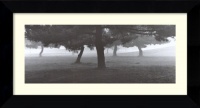 Trees in the Fog by Richard Calvo, Framed Print Art - 13.49 x 24.99