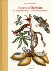 Maria Sibylla Merian: Insects of Surinam