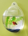 Wall Mount Hanging Beta Fish Bubble Aquarium Bowl Tank