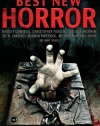 The Mammoth Book of Best New Horror 22