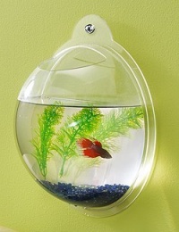 Wall Mount Hanging Beta Fish Bubble Aquarium Bowl Tank