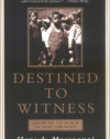 Destined to Witness: Growing Up Black in Nazi Germany