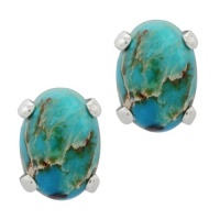 1.20 Ct Stunning Oval Blue Turquoise With .925 Sterling Silver Earring Studs