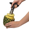 Easy Tool Stainless Steel Fruit Pineapple Corer Slicer Peeler Cut