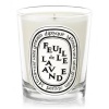 Diptyque Feuille de Lavande Candle-6.5 oz.