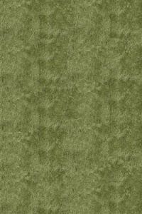 Momeni Luster Shag LS-01APG3050 Apple Green Rug