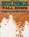 Why Buildings Fall Down: How Structures Fail