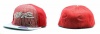 Nike Jordan Youth Boy's Embroidered Flight Logo Fitted Baseball Cap (Varsity Red/Silver)