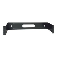 Tripp Lite N060-002 Hinged Wall Mount Patch Panel Bracket - 2U