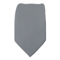 Silver Calvin Klein Boys Tie