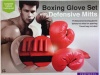 Protocol Boxing Glove Set with Defensive Mitts and Carrying Case (5 Piece Training Set)