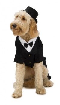 Dapper Dog Tuxedo Pet Costume, Large