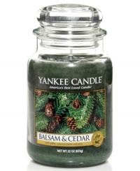 Get some fresh air. With the invigorating smell of cedar, juniper berry and balsam, this large Yankee Candle jar brings the best of the forest right into your living room. A Christmastime classic.