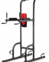 Weider Power Tower