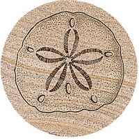 Sand Dollar Thirstystone Sandstone Coasters