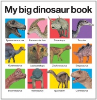 My Big Dinosaur Book