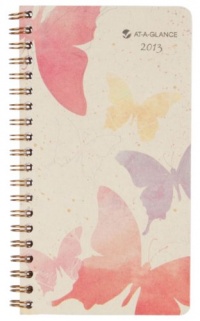 Day Runner Watercolors Recycled Weekly/Monthly Planner, 3 x 6 Inches, 2013 (791-300G-13)